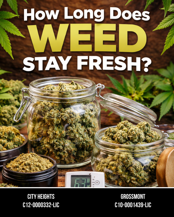 How Long Does Weed Stay Fresh