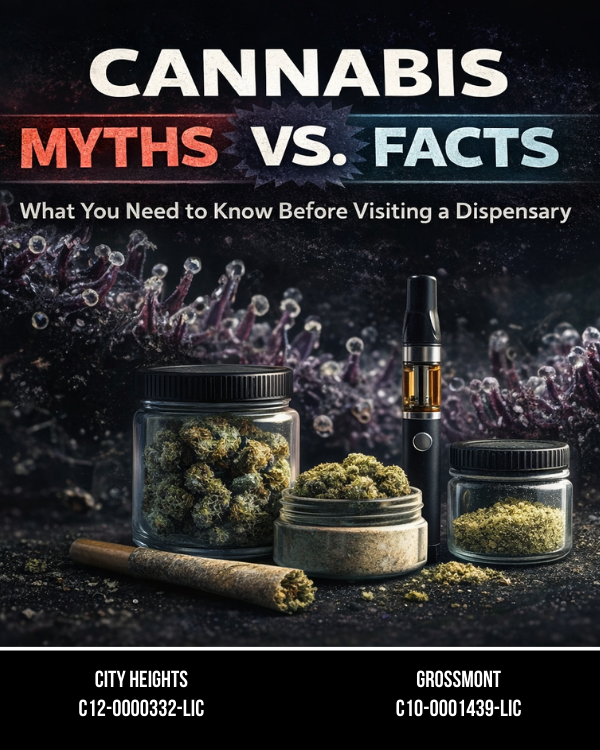 Common Cannabis Myths and Facts