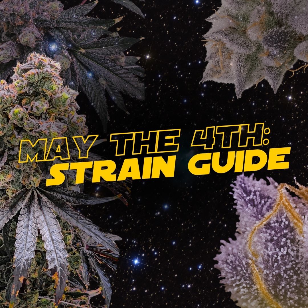 Smoke Like a Jedi, Relax Like a Sith: A May 4th Cannabis Strain Guide